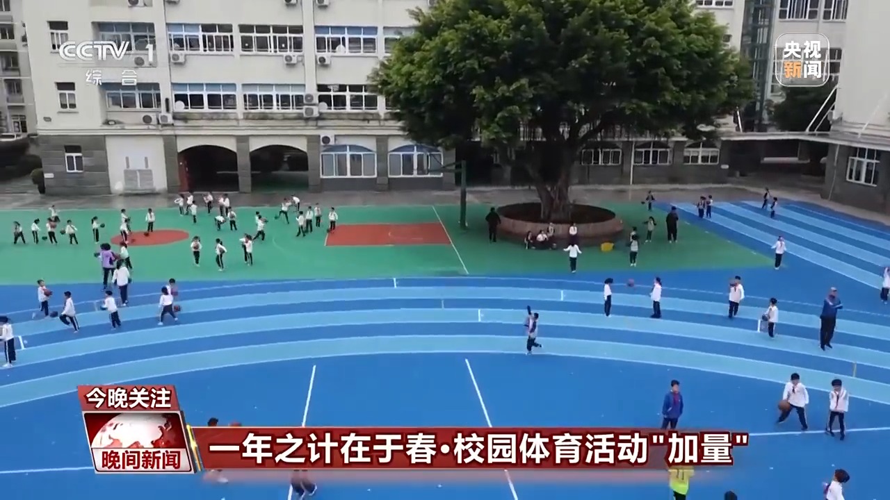 随后果断起